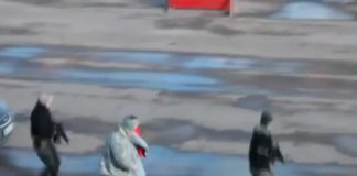 Pogledajte kako izgleda trening ruskih specijalnih jedinica. Ovakve scene se ne viđaju ni u filmovima! (VIDEO)