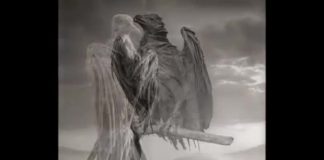 OVAKO IZGLEDA JEZERO SMRTI: Sve što upadne ovdje, PRETVARA SE U KAMEN! (VIDEO)