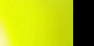 Htjela je da se slika pored dva majmuna u zoološkom vrtu. Nije ni sanjala da će joj u nastavku uraditi OVO! (VIDEO)