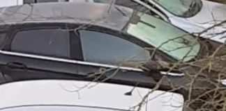 Snimao je s prozora komšiju koji je krenuo na posao. Kada je vidio kako čisti zaleđenu šoferšajbnu, nije se mogao prestati smijati!