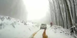 Zaustavio se usred šume i izašao iz auta da obavi nuždu. Nakon ovoga, NEĆE VIŠE NIKAD! (VIDEO)