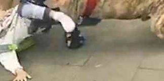 Bijesni pitbull napao bebu, vlasnik psa morao upotrijebiti metalnu šipku kako bi je oslobodio ugriza! (VIDEO)